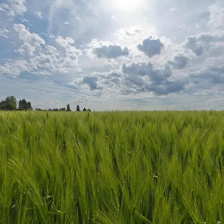 Near Nature Reserve * Bemelen