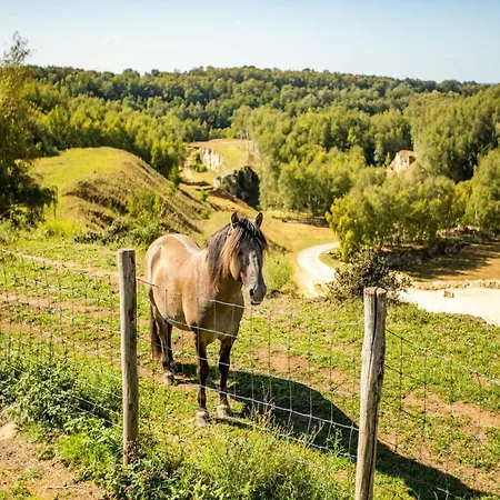 Near Nature Reserve Holiday home Bemelen