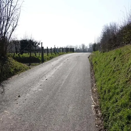 Near Nature Reserve